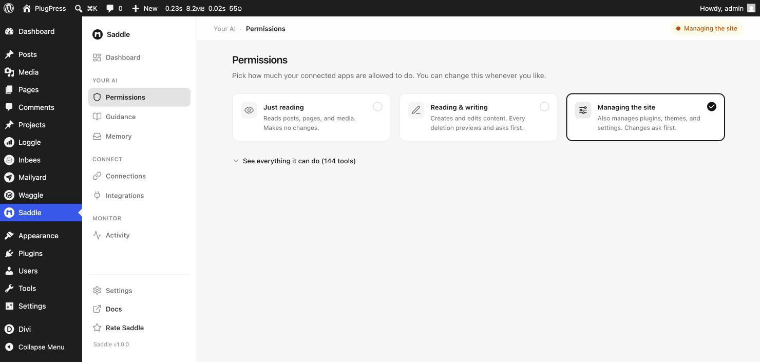 Saddle Permissions screen showing the three access levels: Just reading, Reading and writing, and Managing the site