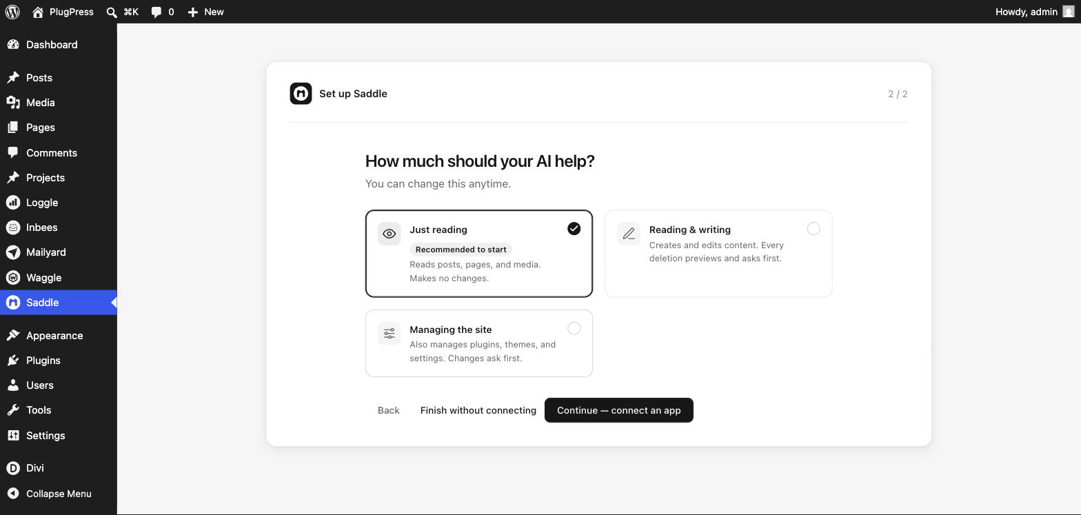 Saddle first-run setup step two asking how much your AI should help, with Just reading selected and badged Recommended to start