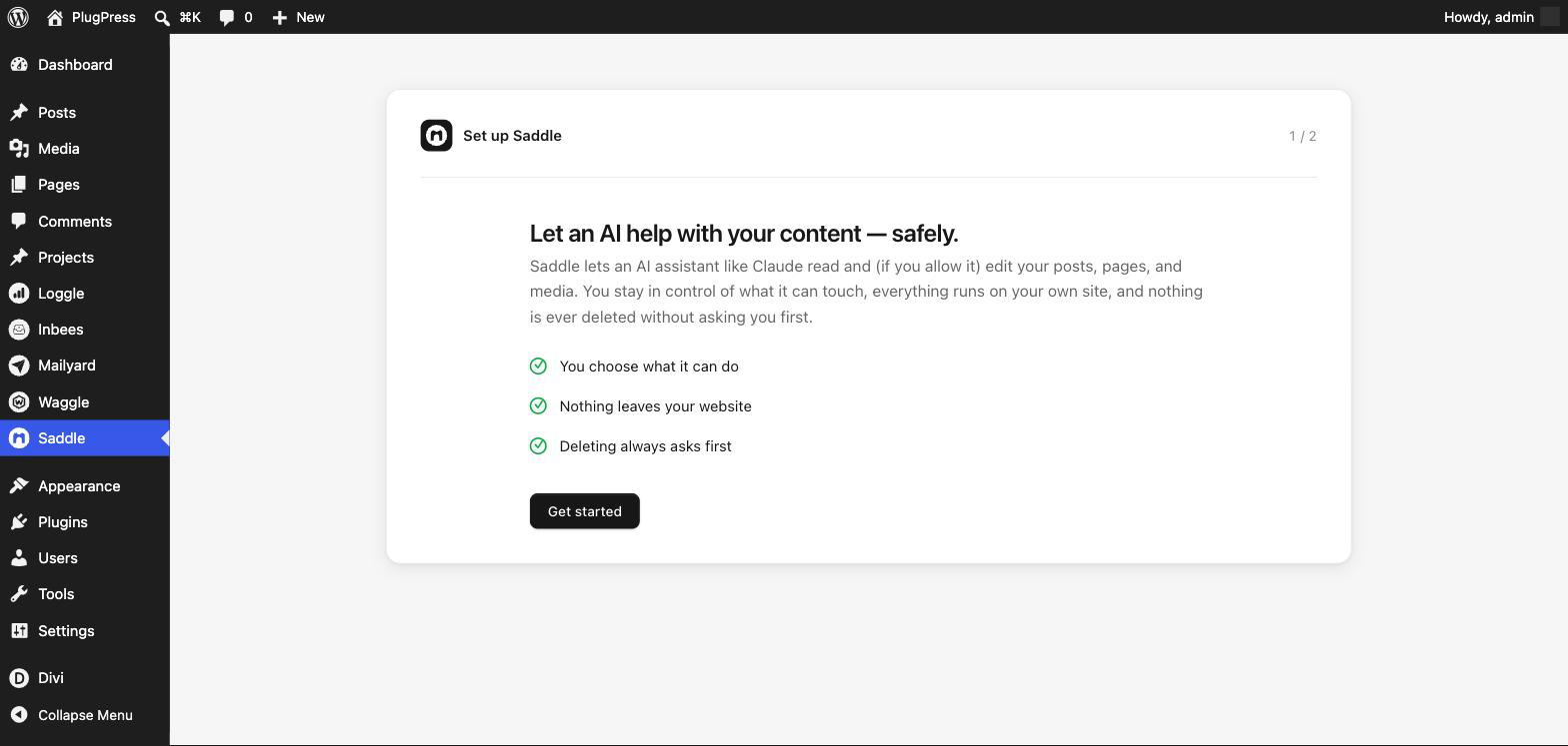 Saddle first-run setup step one listing three promises: you choose what it can do, nothing leaves your website, deleting always asks first